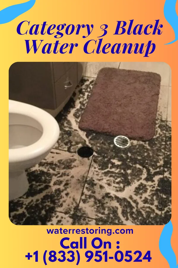 Category 3 Black Water Cleanup in Confluence, PA