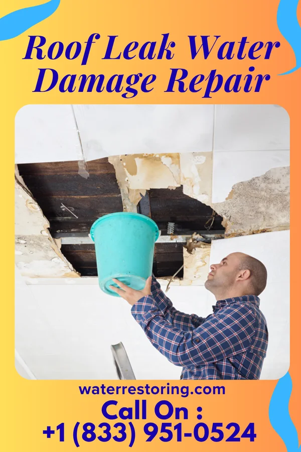 Roof Leak Water Damage Repair in Confluence, PA