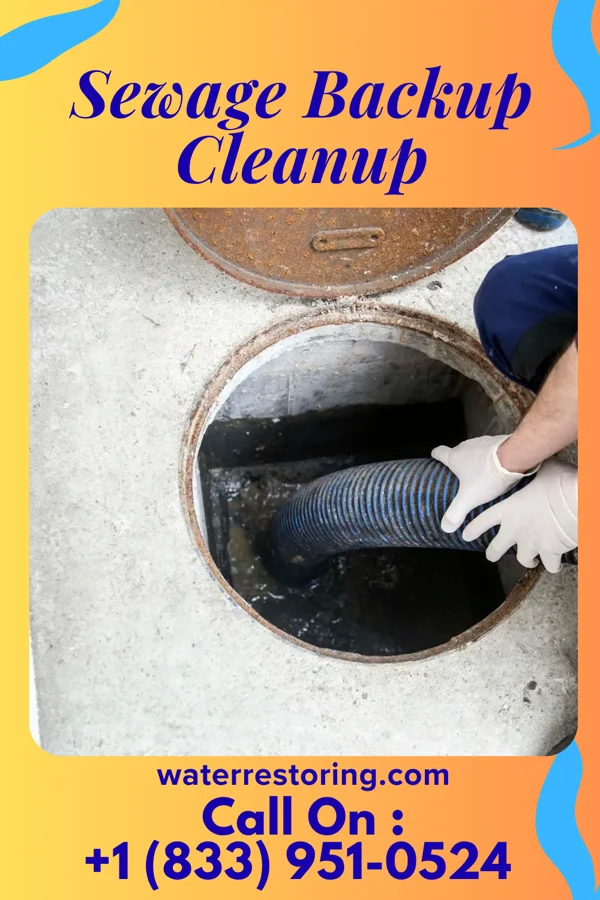 Sewage Backup Cleanup in Confluence, PA