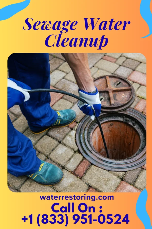 Sewage Water Cleanup in Confluence, PA